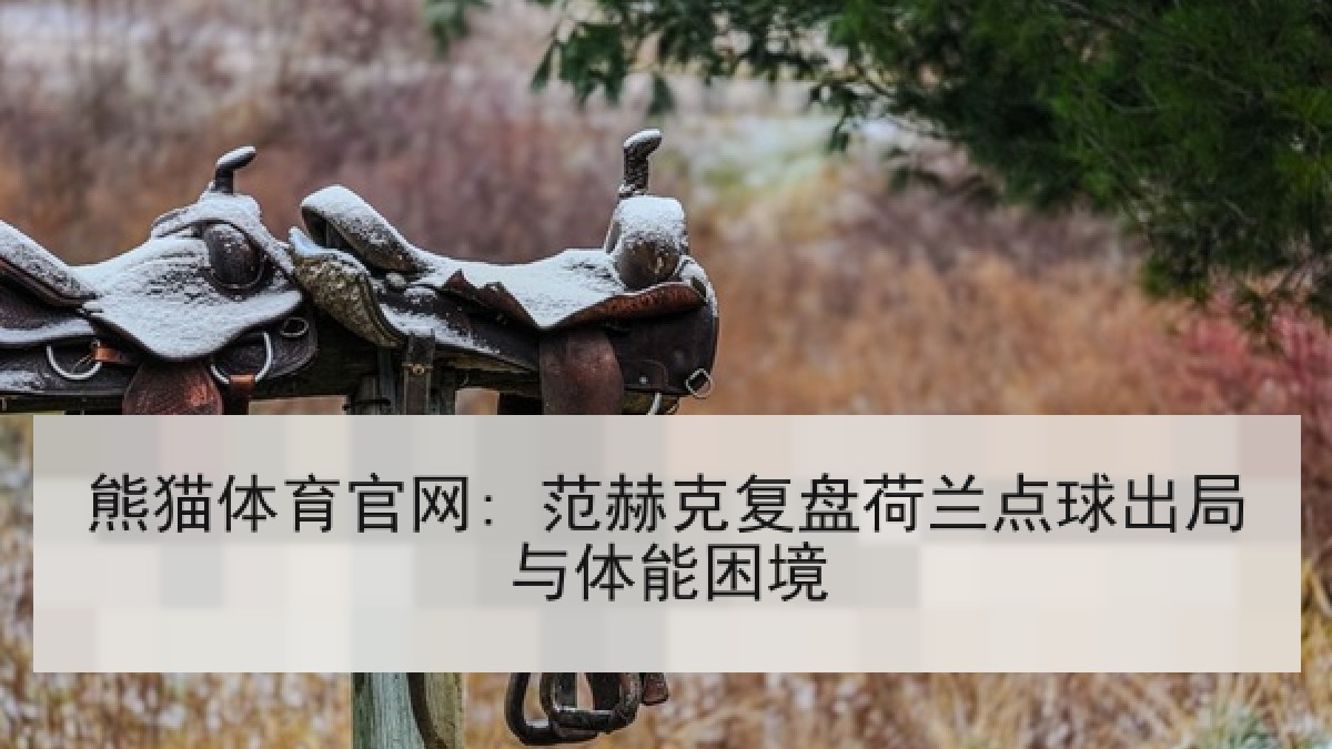 熊猫体育官网: 范赫克复盘荷兰点球出局与体能困境
