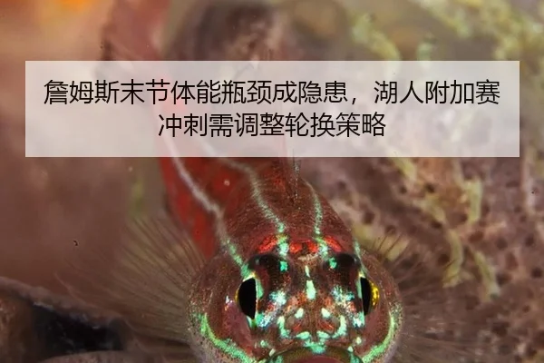 詹姆斯末节体能瓶颈成隐患，湖人附加赛冲刺需调整轮换策略